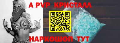 СК Моздок