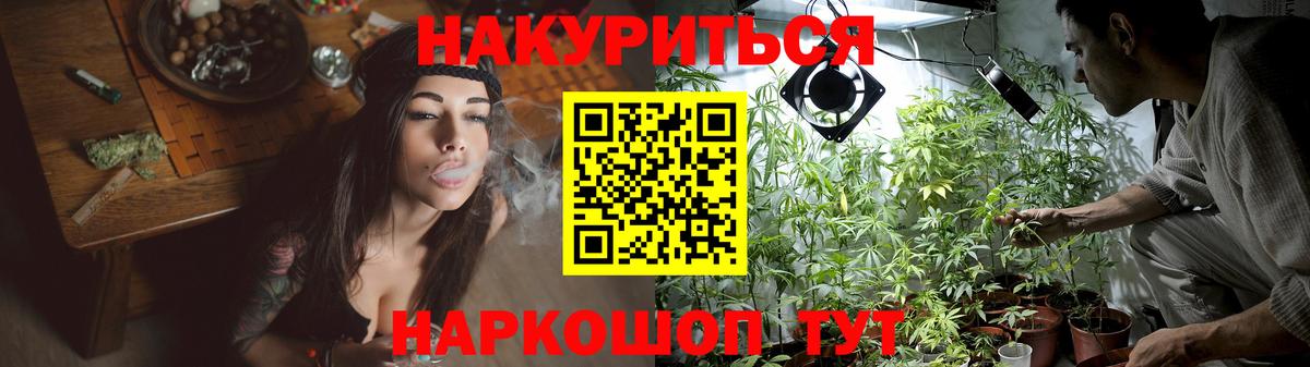 МАРИХУАНА планчик  Вход с VPN  Бошки марихуана тримм  Бошки Шишки планчик  Канабис сатива  Дальнегорск 
